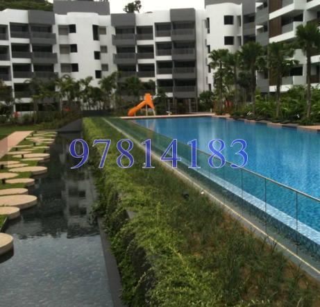 Meadows @ Peirce (D26), Condominium #154149372